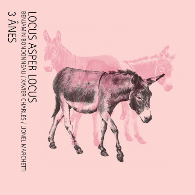 3 ÂNES | Locus Asper Locus : Benjamin Bondonneau, Xavier Charles, Lionel Marchetti 3 ÂNES | Locus Asper Locus : Benjamin Bondonneau, Xavier Charles, Lionel Marchetti