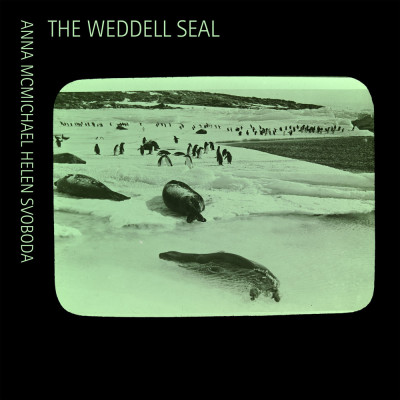 THE WEDDELL SEAL | Anna McMichael and Helen Svoboda THE WEDDELL SEAL | Anna McMichael and Helen Svoboda