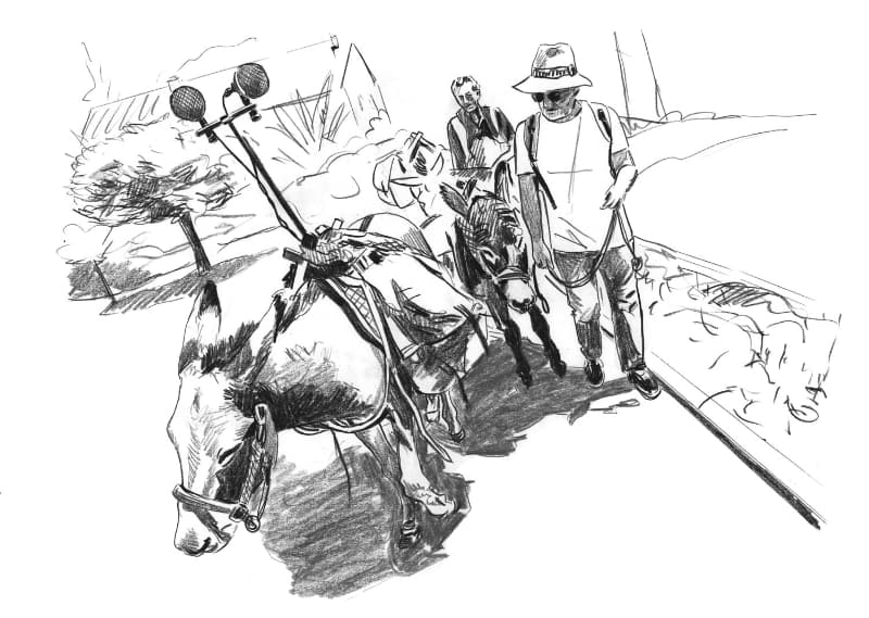 Illustration by Benjamin Bondonneau