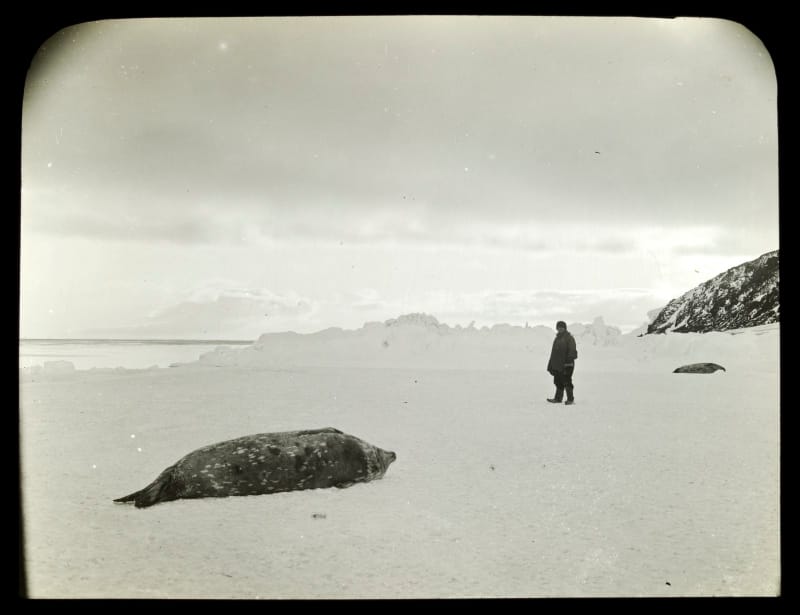 Unsounds 95U - Antarctic image