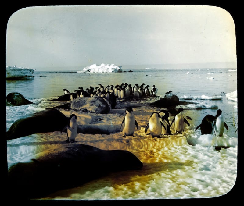 Unsounds 95U - Antarctic image