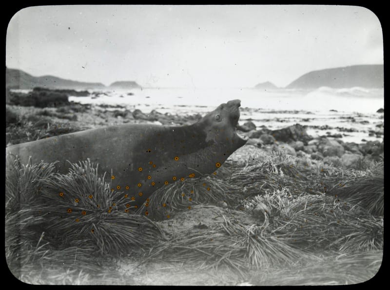 Unsounds 95U - Antarctic image